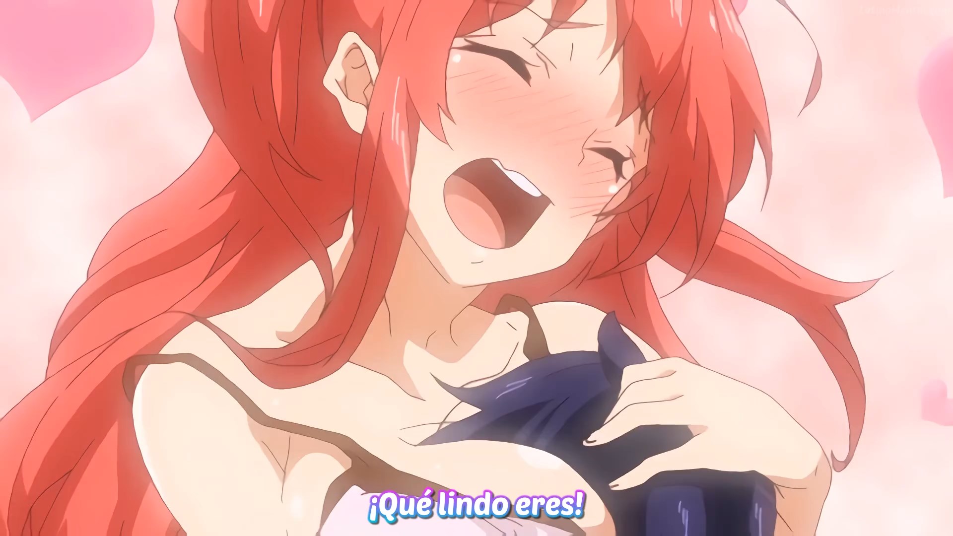 Seikatsu Shuukan The Animation 01 Sub Español